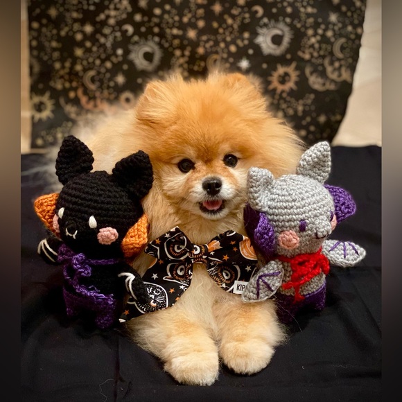 Meet your Posher, Keilani - Picture 4 of 13